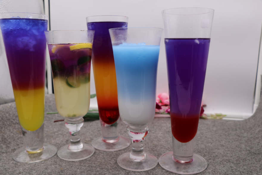 苏州泰国蝶豆花培训